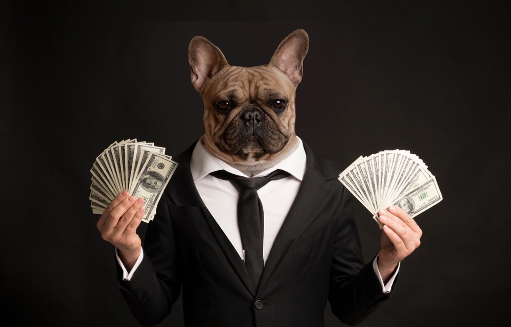How Much Does a Dog Really Cost? (The Complete Guide)