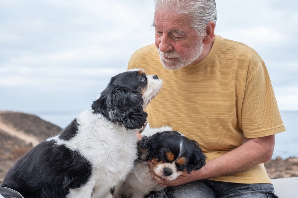 Best Dog Breeds for Seniors (Low-Maintenance Companions)